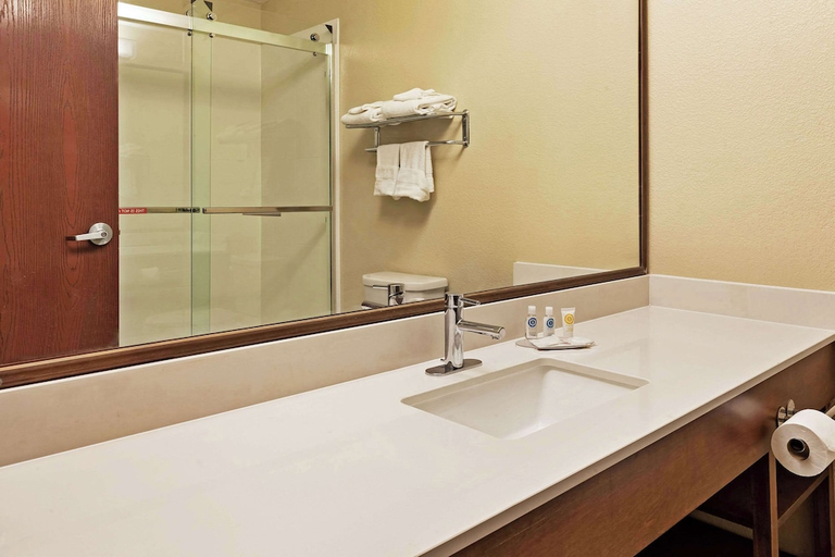 Bathroom, Comfort Inn Whitehall Near Michigan's Adventure, Muskegon