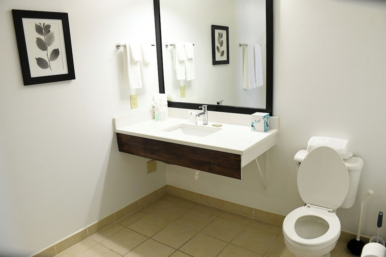 Bathroom, Best Western Harmony Inn Fort Dodge Iowa, Webster