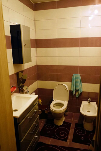 Bathroom 3, Volga Star, Saratovskiy rayon