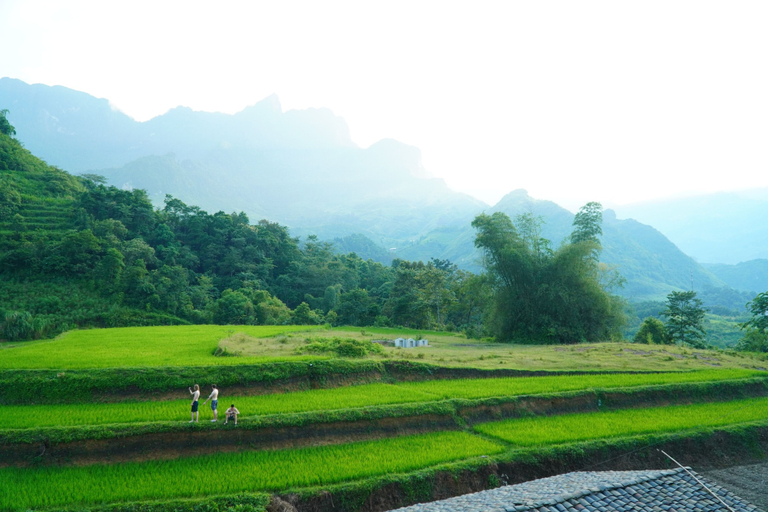 Miscellaneous 5, Jashill Du Gia Homestay, Yên Minh