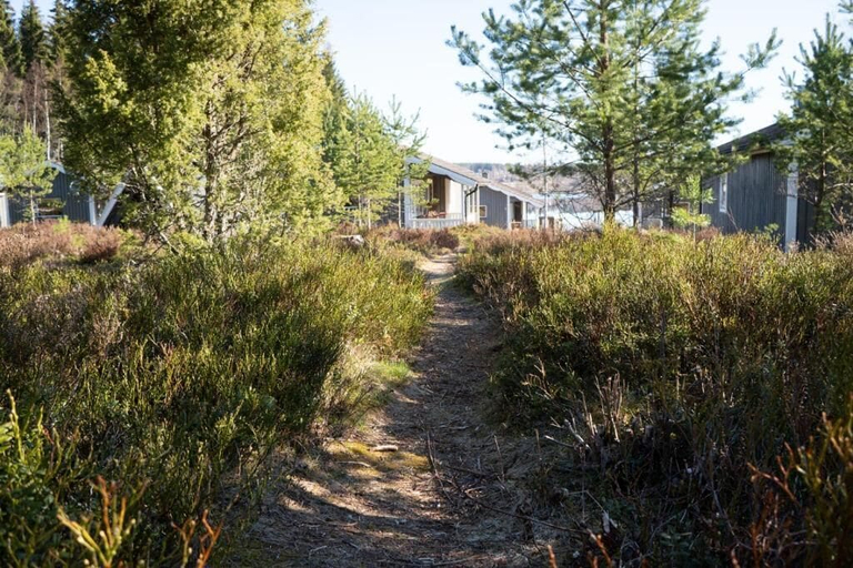Property grounds, Lovers Nest, Hagfors