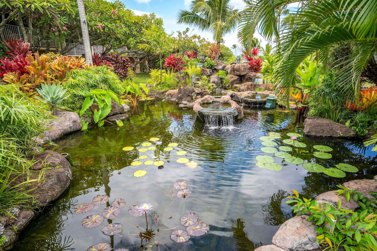 Property grounds 5, Napili Shores D-232 - Upper Level Renovated Studio at Koi Pond, Wi-fi & Split AC, Maui