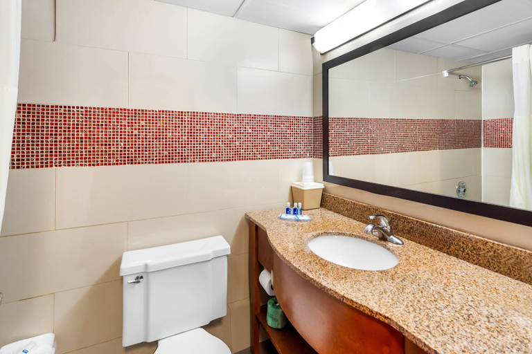 Bathroom 4, Rodeway Inn Capri, Bergen