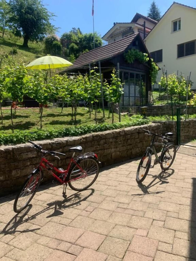 Others 5, Bed & Breakfast Obermumpf, Rheinfelden