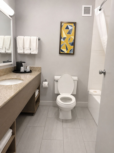 Bathroom 4, Comfort Inn & Suites Johnson City - Binghamton, Broome