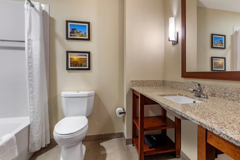 Bathroom 4, Comfort Inn & Suites Edgewood, Santa Fe