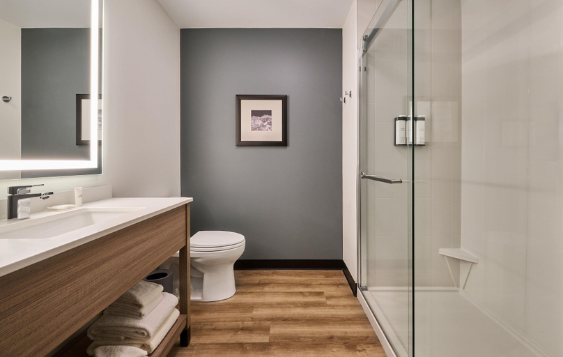 Bathroom 4, Hyatt Select Nashville/Opryland, Davidson