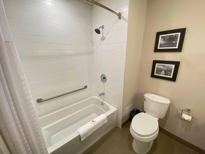 Bathroom 4, Comfort Inn & Suites Valemount - Highway 5, Fraser-Fort George
