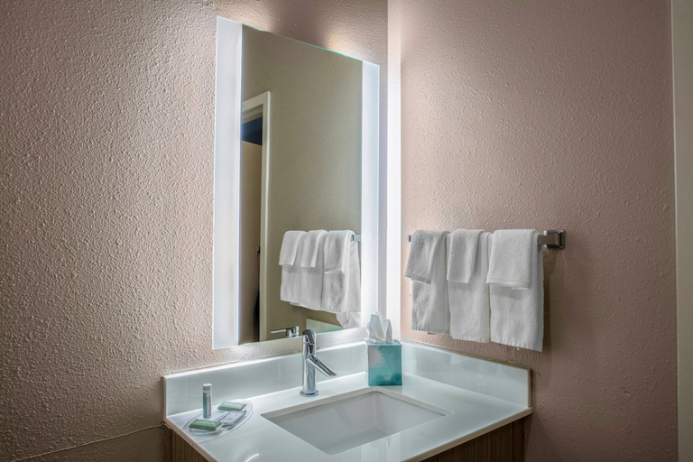 Bathroom 4, SpringHill Suites Baton Rouge South, East Baton Rouge