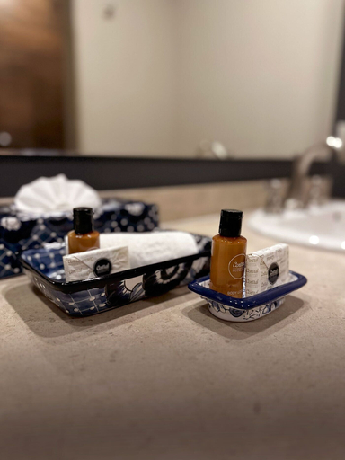 Bathroom 5, Hotel Zócalo Central, Mexico City