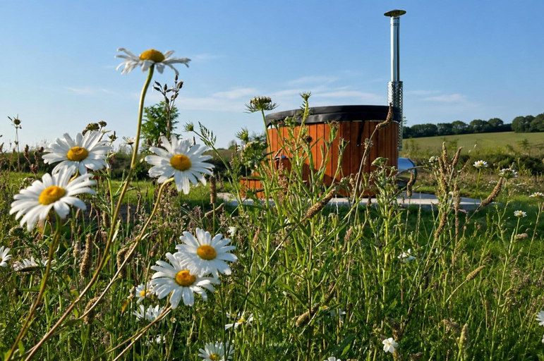 Miscellaneous 5, Cosy Luxury Owls Roost Hut With Private Hot Tub, Devon