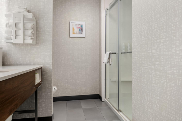 Bathroom 4, Hampton Inn & Suites Pekin Peoria Area, Tazewell