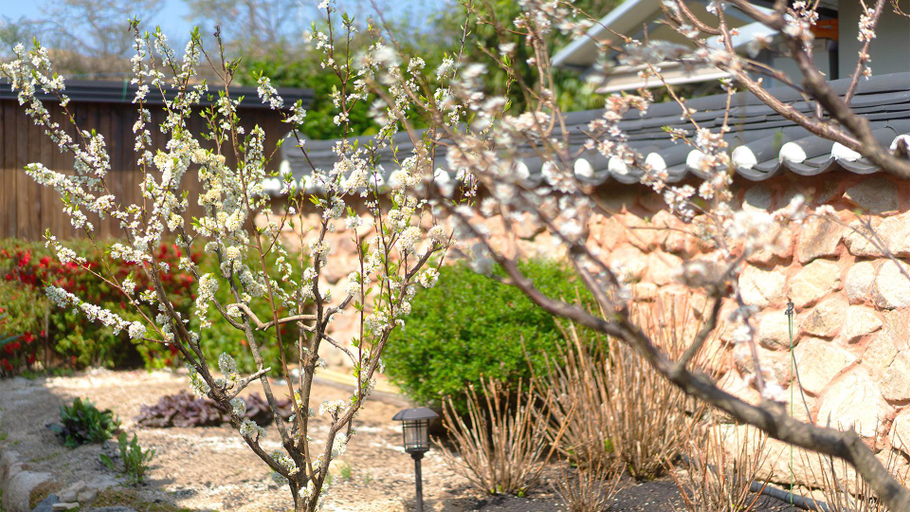 Others 4, Gyeongju Hanok Stay Garden Pension, Gyeongju