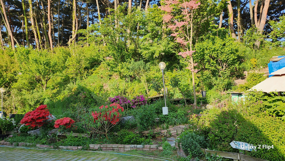 Others 5, Taean Haejoeum Pension, Taean