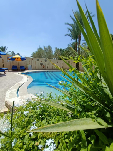 Sport & Beauty 2, palm shadow resort, Yusuf as-Sidiq