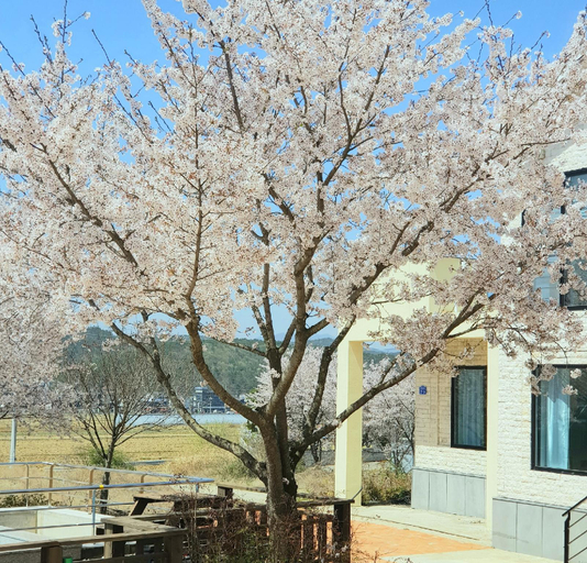 Exterior & Views 5, Gyeongju Pacific Pension, Gyeongju
