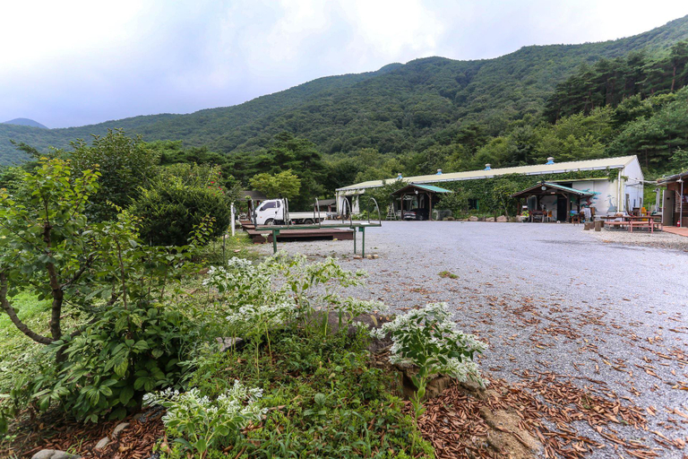 Others 4, Gaeun-e Garden Pension in Mungyeong, Mungyeong