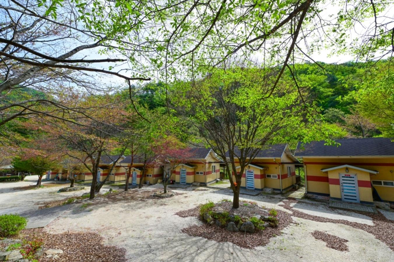 Exterior & Views 1, Gapyeong Cheonryong Pension, Pocheon