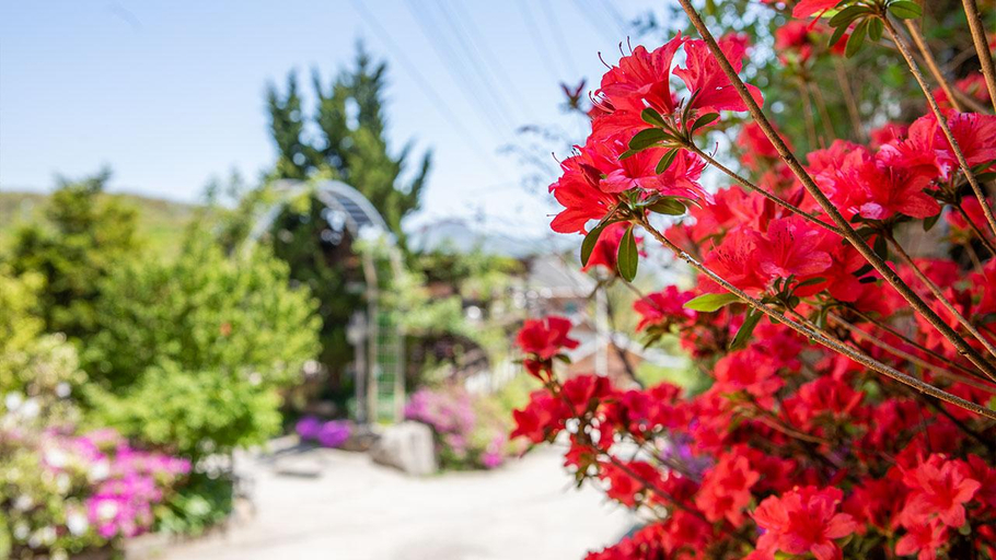 Others 4, Ganghwado Flower Pension Town, Ganghwa