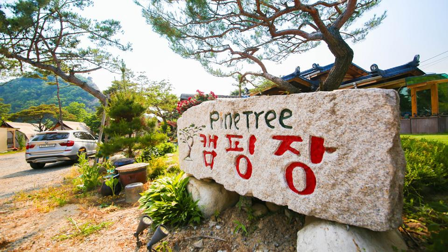 Others 4, Pocheon Pine Tree Auto Camping Site, Pocheon