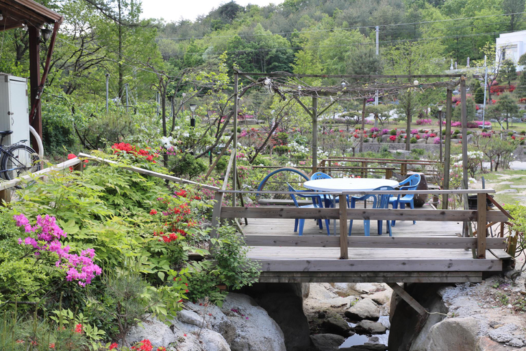 Others 3, Gangneung Pine Tree Pension, Gangneung