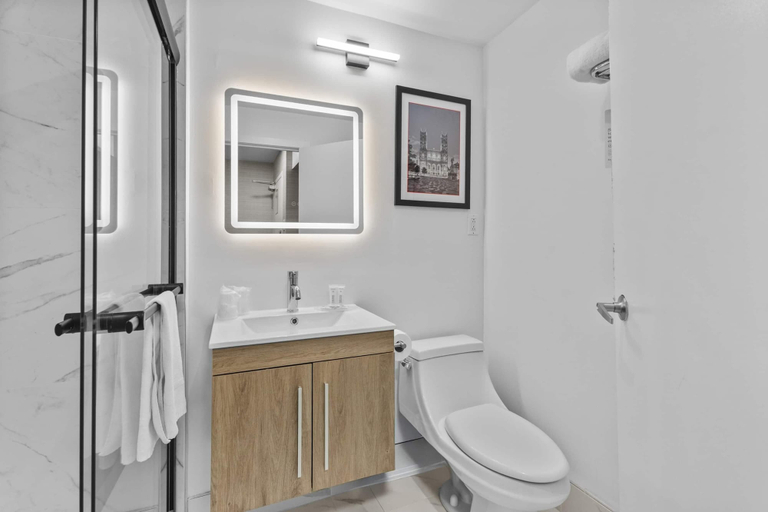 Bathroom 4, Ramada Plaza by Wyndham Montreal, Montréal