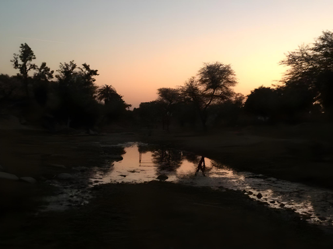 Others 2, Rawla Paramda - A Heritage Resort, Udaipur