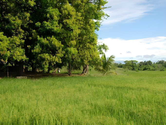 Others 2, Kuda Oya Cottages, Buttala
