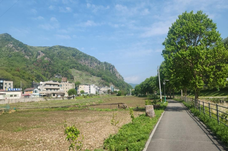 Others 4, Chuncheon (Gangchon) Theme Pension, Chuncheon
