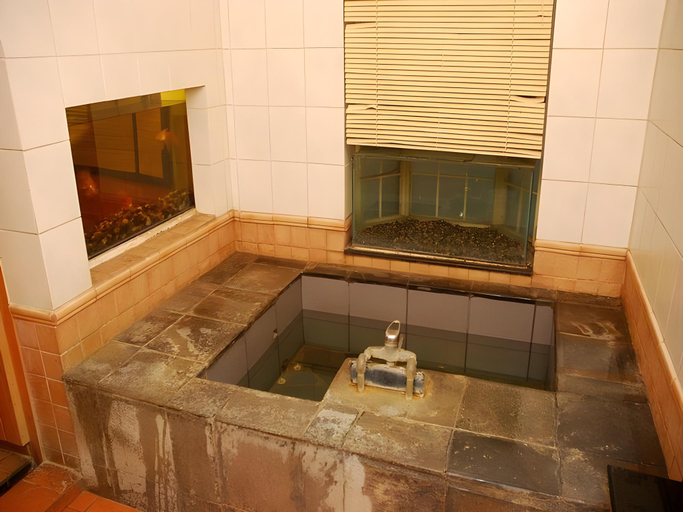 Bathroom, Hotel Kido House, Bagmati