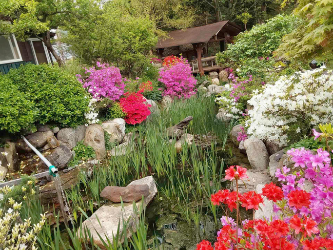 Others 4, Danyang Yes Greena Pension, Yeongwol