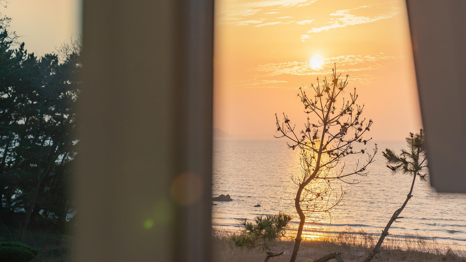 Others 3, Taean Shushu Pool Villa, Taean
