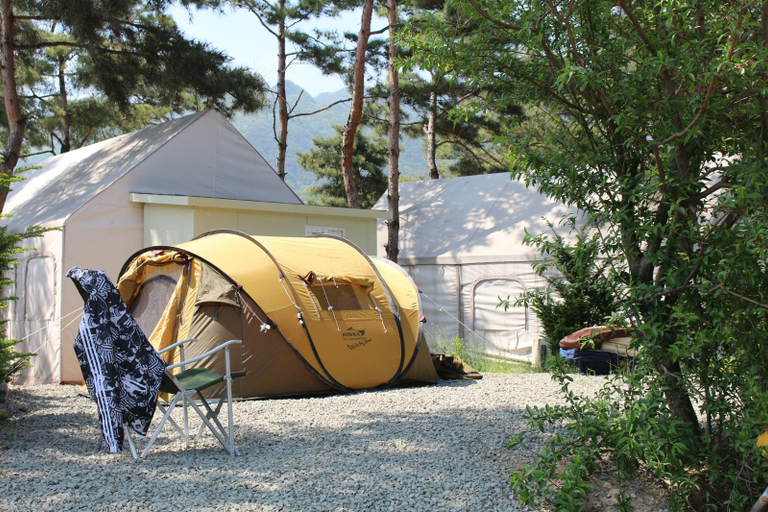 Others 5, Pocheon Pine Tree Auto Camping Site, Pocheon