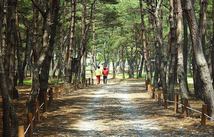 Others 2, Taean Kozani Pension, Taean