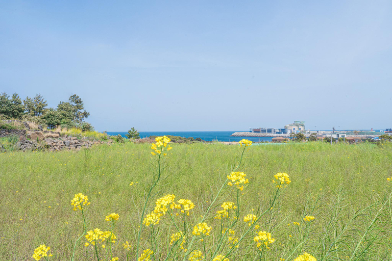 Others 5, Jeju (Aewol) Sea and Star, Jeju