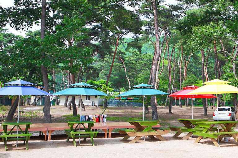 Others 3, Goesan Forest Harmony Pension, Goesan