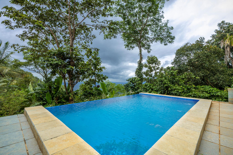 Swimming pool 4, amã Stays and Trails The Malabar Villa Hibiscus, Kozhikode, Kozhikode
