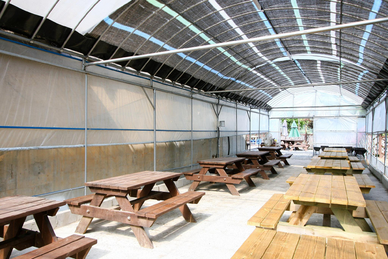 Others 5, Taean Solbit Resort, Taean