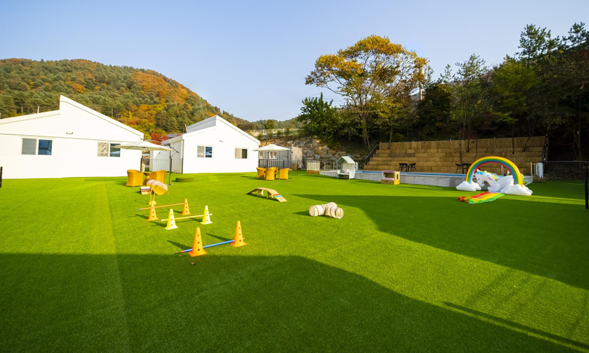 Others 5, Gapyeong Cherrymong Dog Pool Villa, Gapyeong