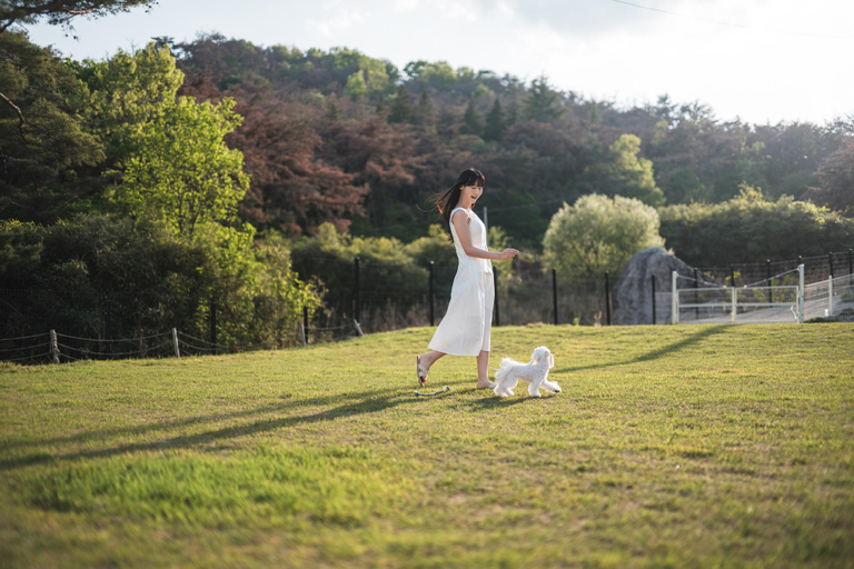 Others 5, Gyeongju Wicklad Pet Pool Villa, Gyeongju