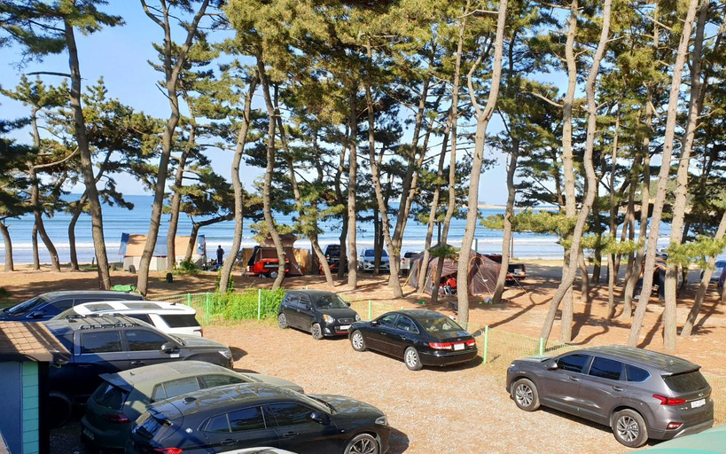 Others 5, Taean Kozani Pension, Taean