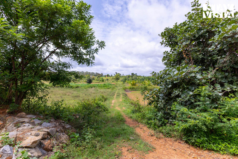 Others 5, StayVista at Feel Good Farm Stay w/ BBQ & Bonfire, Bangalore Rural