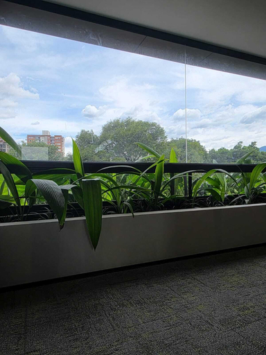 Interior 2, BLOSS HOTEL, Medellín