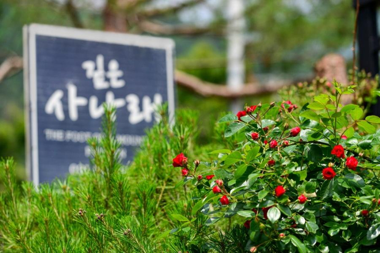 Others 4, Gapyeong Deep Sanarae Pension, Gapyeong