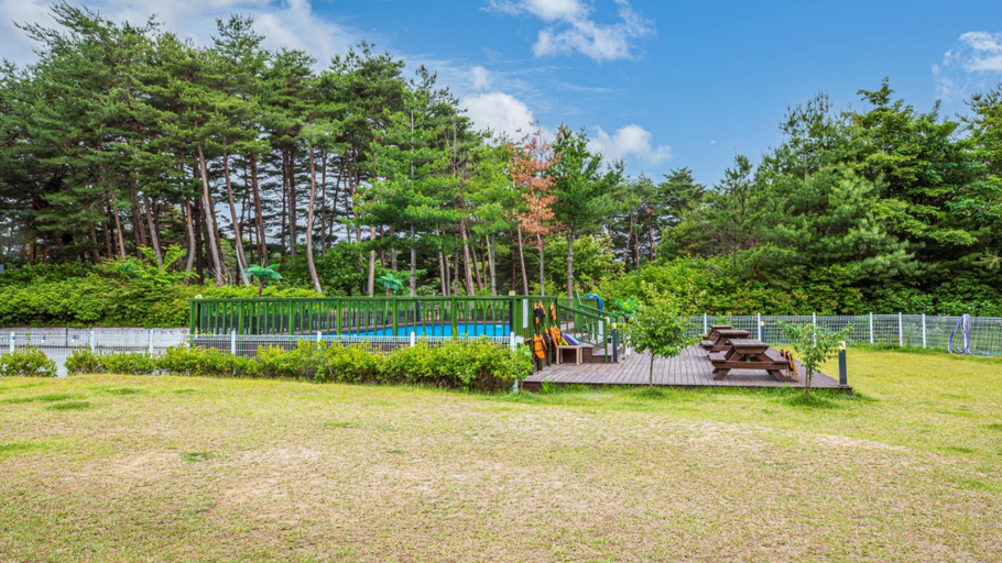 Others 5, Yangyang Glamdog Dog Pension, Yangyang