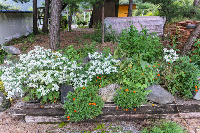 Others 2, Gaeun-e Garden Pension in Mungyeong, Mungyeong