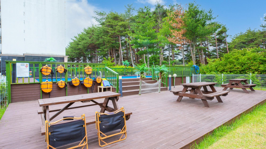 Others 3, Yangyang Glamdog Dog Pension, Yangyang