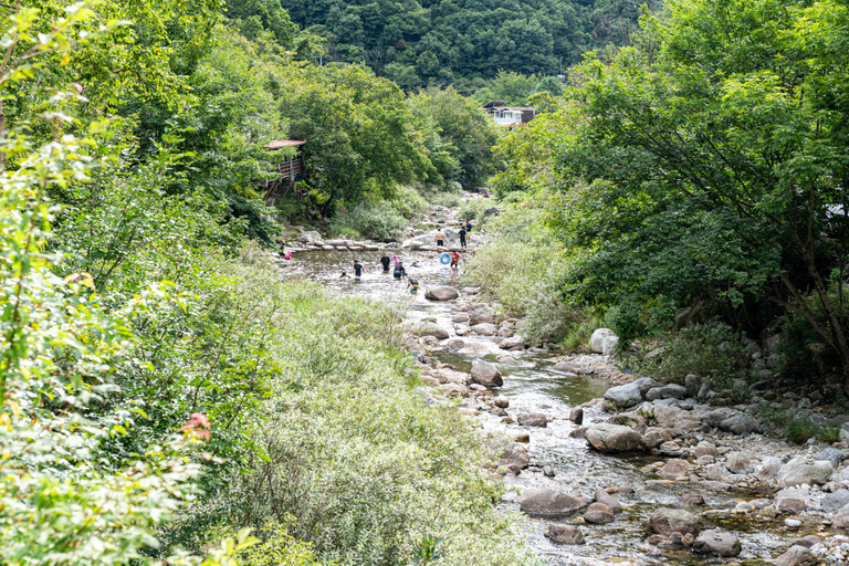 Others 5, Gapyeong Eden Pension, Pocheon