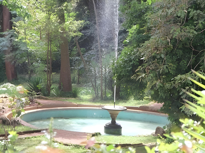 Sport & Beauty, Purdy Arms Bed & Breakfast, Langata