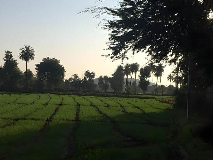 Others 4, Rawla Paramda - A Heritage Resort, Udaipur